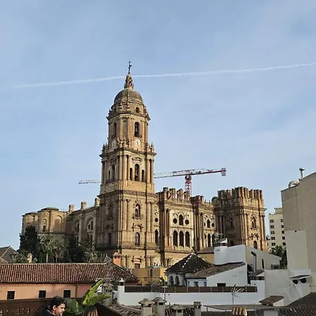 Pure Luxe Down Town - Dona M